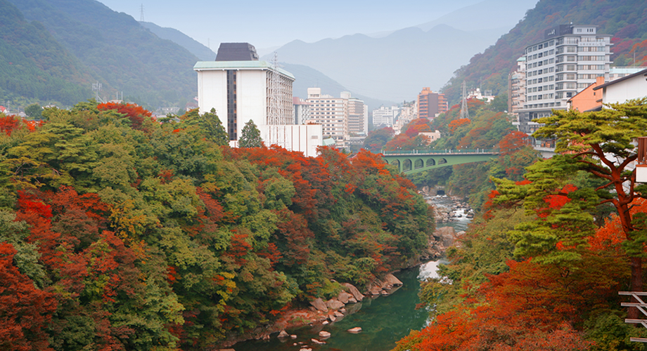 風景 別カット