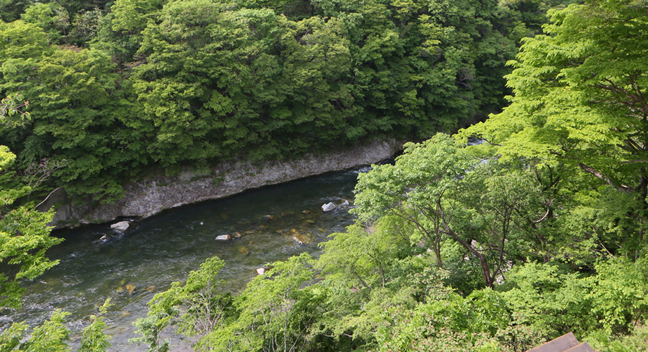 風景 別カット