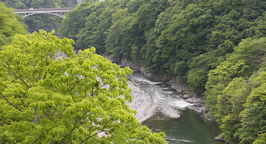 風景