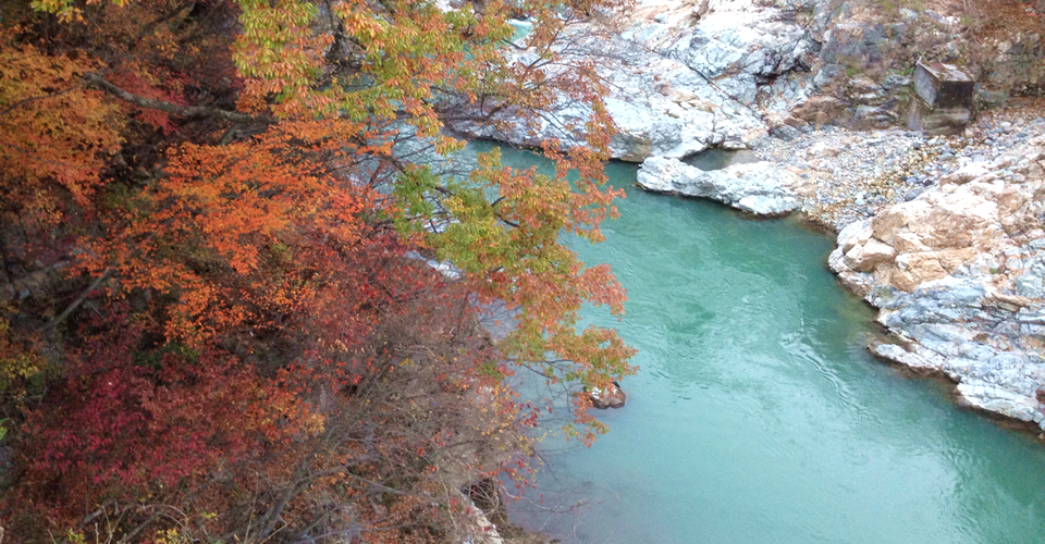 鬼怒川温泉 七重八重旅館からの紅葉