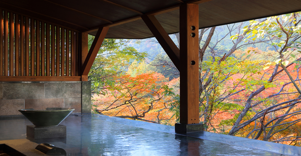 日光の紅葉イメージ