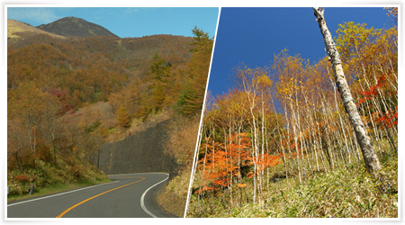 紅葉時期の霧降高原