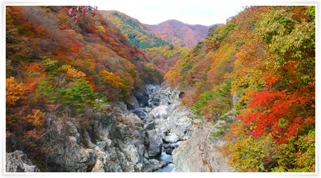 木々が色づき始めた龍王峡