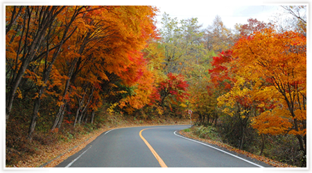 紅葉時期の日塩もみじライン