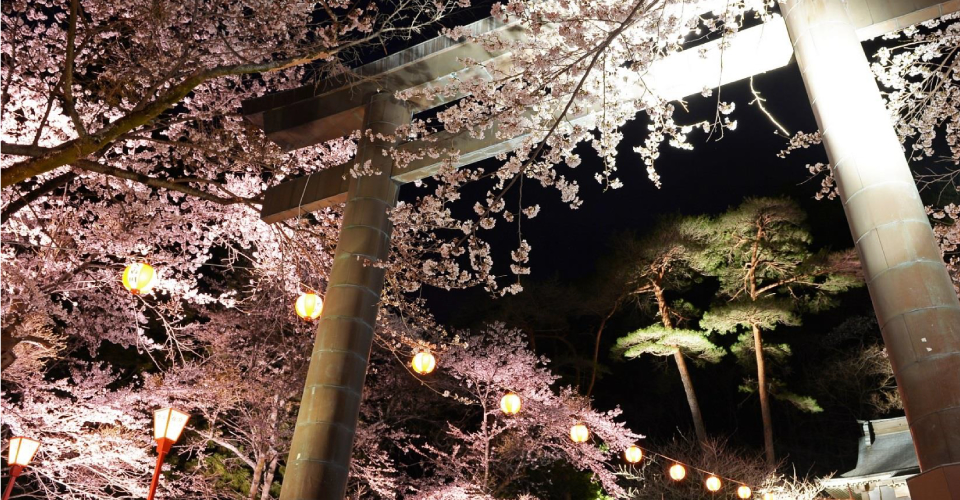 鬼怒川温泉 夜桜まつり イメージ